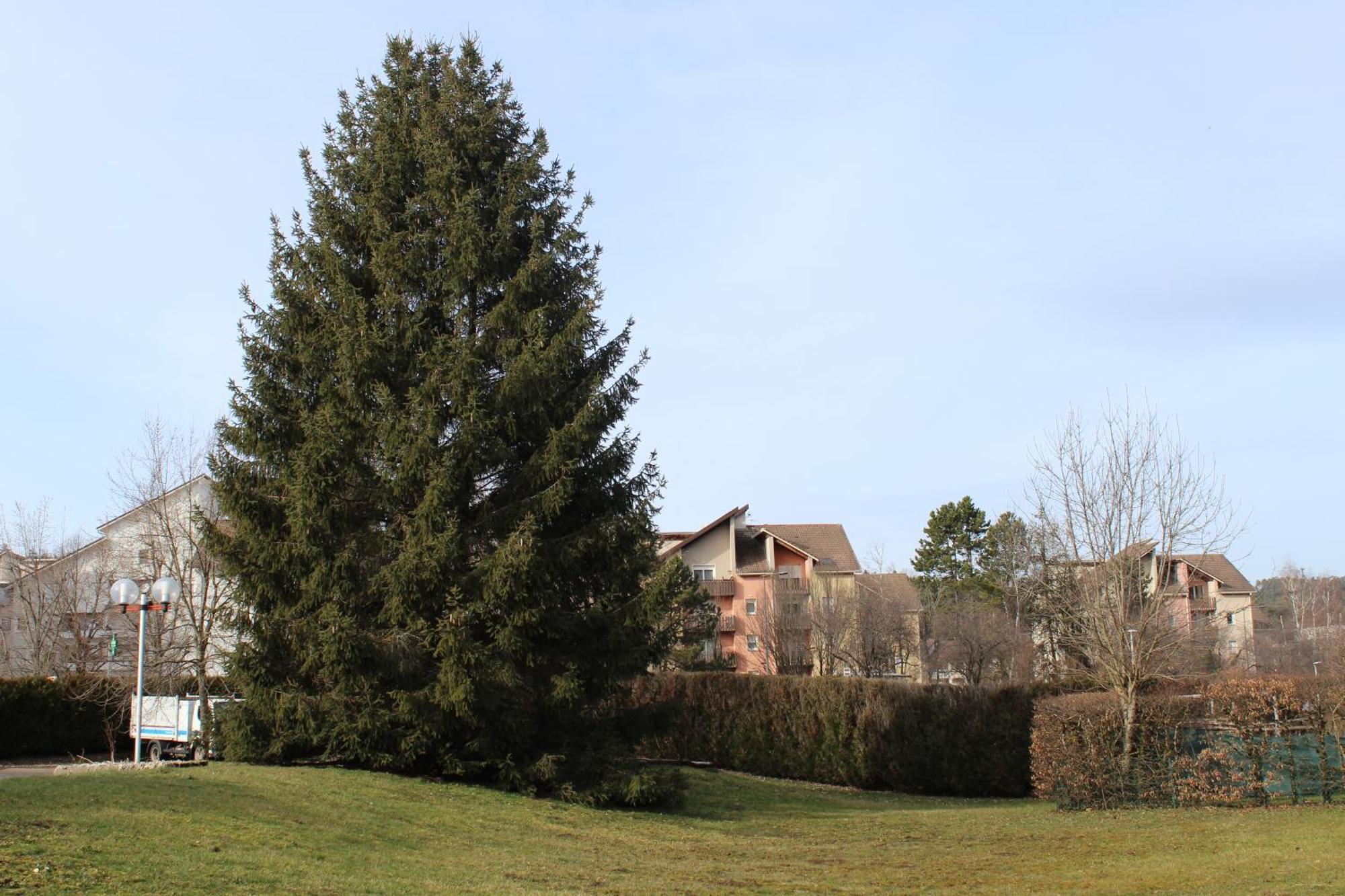Hôtel Mélodie Bellignat Esterno foto